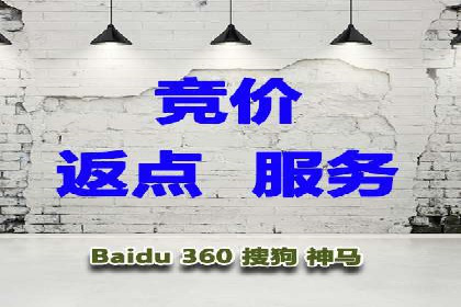百度推广的成功案例：从零到一的突破